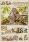 Preview: 3D Schnittbogen Buch A5 Tiere