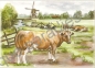 Preview: 3D Schnittbogen Kühe