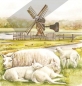 Preview: 3D Schnittbogen Schafe