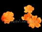 Preview: Acryl Blume 40mm orange