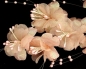 Preview: Brautblüte lachs irisierend