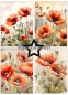 Preview: Paper Favourites Poppy