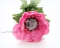 Preview: Anemone rosa