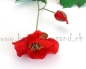 Preview: Mohn (3Stk.)