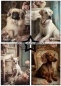 Preview: Paper Favourites A5 Shabby Dogs