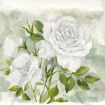 Serviette rose boutique white