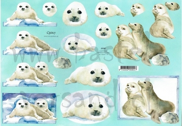 3D Schnittbogen Robbe