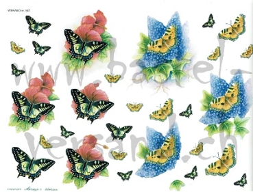 3D Schnittbogen Schmetterling
