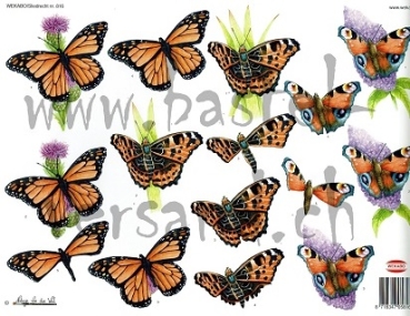 3D Schnittbogen Schmetterling