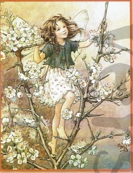 Preview: 3D Stanzbogen Elfen