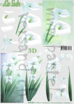 3D Schnittbogen Calla / Iris