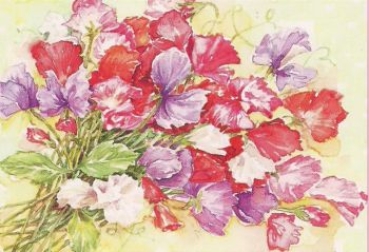 Preview: Pyramides Blumen