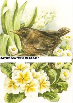 Preview: Pyramides Vogel