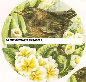 Preview: Pyramides Vogel