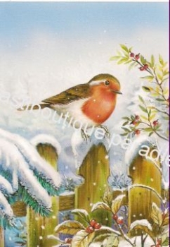 Preview: Pyramides Rotkehlchen auf Zaun