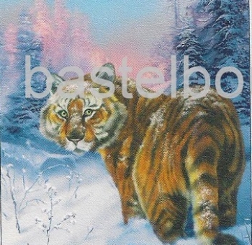 Preview: Pyramides Tiger