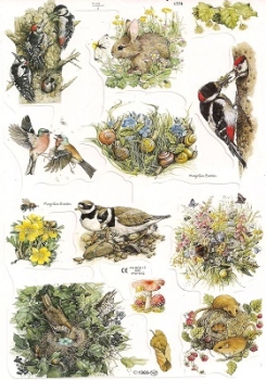 Poesiebilder Vögel und Hasen