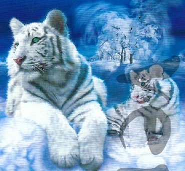 Preview: 3D Schnittbogen weisser Tiger