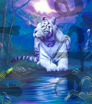 Preview: 3D Schnittbogen weisser Tiger