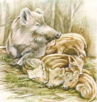 Preview: 3D Schnittbogen Wildschweine