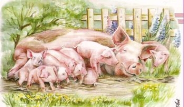 Preview: 3D Schnittbogen Schweine