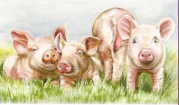 Preview: 3D Schnittbogen Schweine