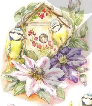 Preview: 3D Schnittbogen 2 Meisli