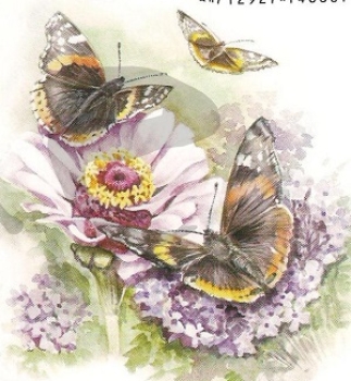 Preview: 3D Schnittbogen Schmetterlinge