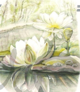 Preview: 3D Schnittbogen Seerose weiss