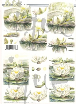 3D Schnittbogen Seerose weiss