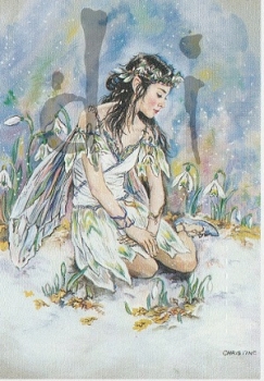 Preview: Schnittbogen Elfen