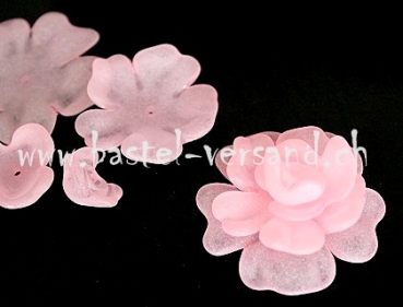 Acryl Blume 40mm rosa