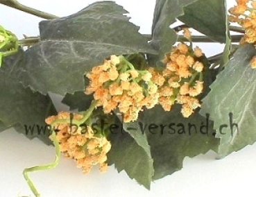 Preview: Blütenzweig lachs