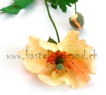 Mohn gelb (2Stk.)