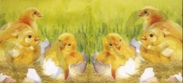 Serviette küken schlüpft aus dem ei