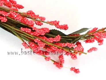 Preview: Rispenzweig lachs