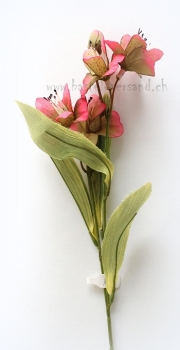 Preview: rote Blüte