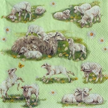 Serviette spring with lambs