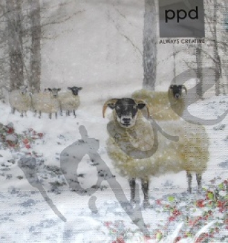 Serviette highland sheep