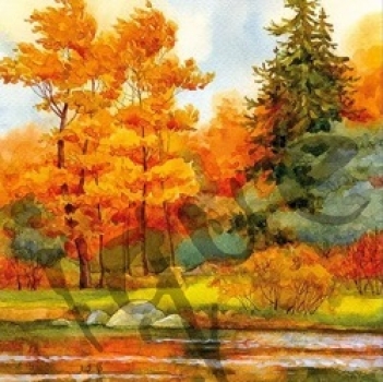 Serviette forest lake