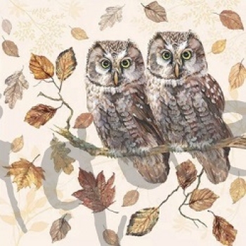 Serviette owl couple