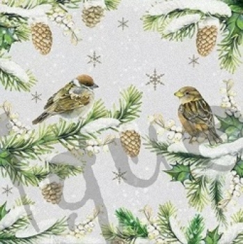Serviette sparrows in snow