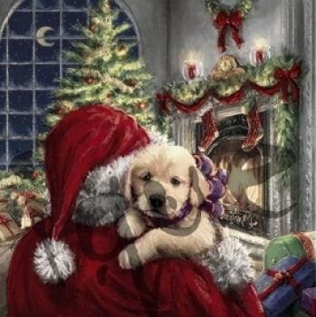 Serviette puppy at fire