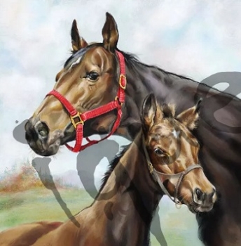 Serviette horse love