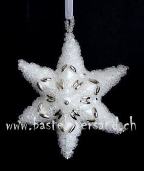 Stern 7cm weiss/silber