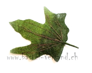 Ahornblatt (Sisal) 27 x 29cm grün