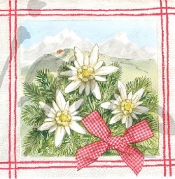 Serviette edelweiss