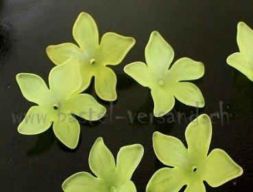 Acryl Blume 28mm grün