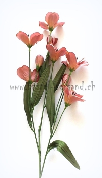 Preview: Blütenzweig altrosa