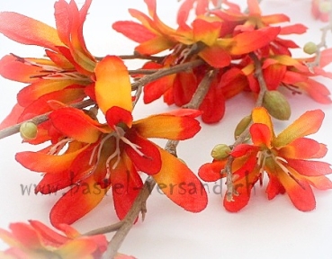 Preview: Blütenzweig